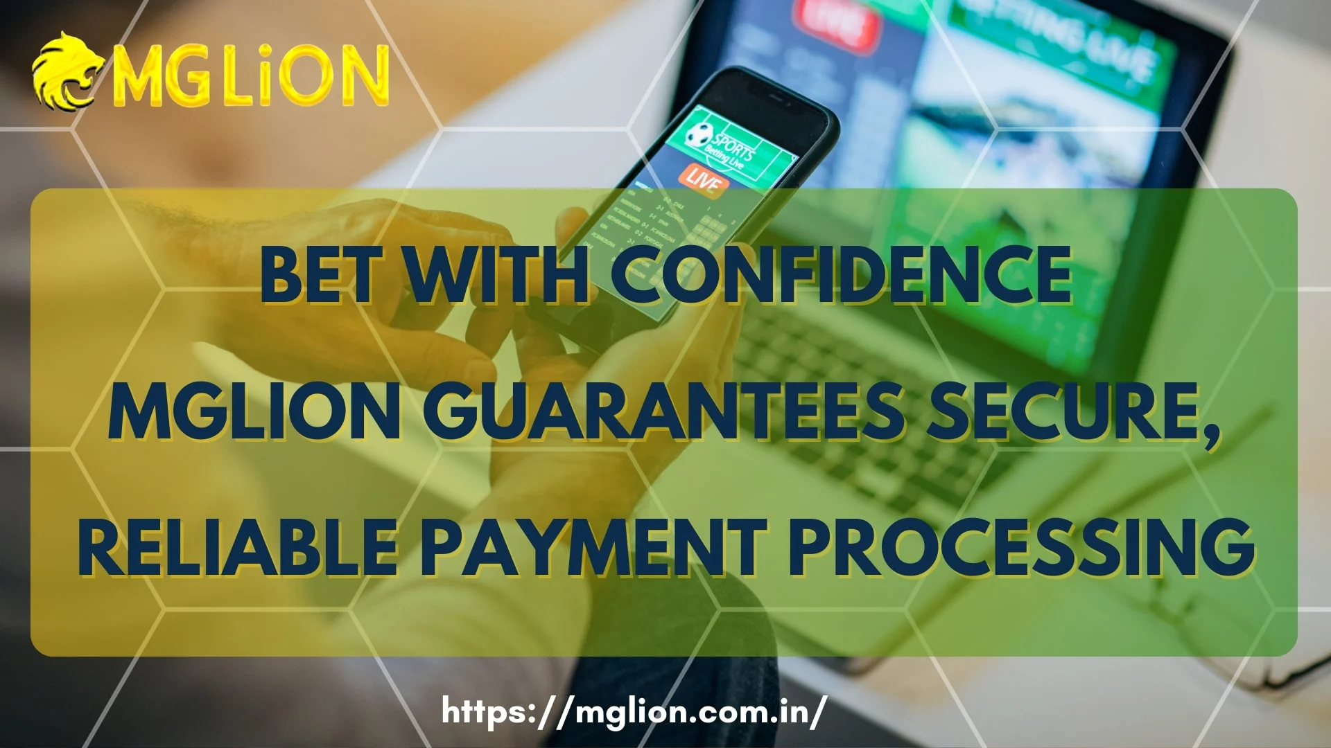 MGLion Payment Methods